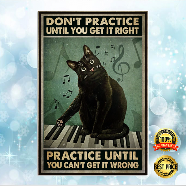 Cat Don't Practice Until You Get It Right Practice Until You Can't Get It Wrong Poster 5
