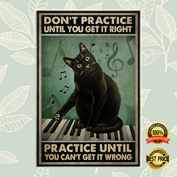 Cat Don't Practice Until You Get It Right Practice Until You Can't Get It Wrong Poster 6