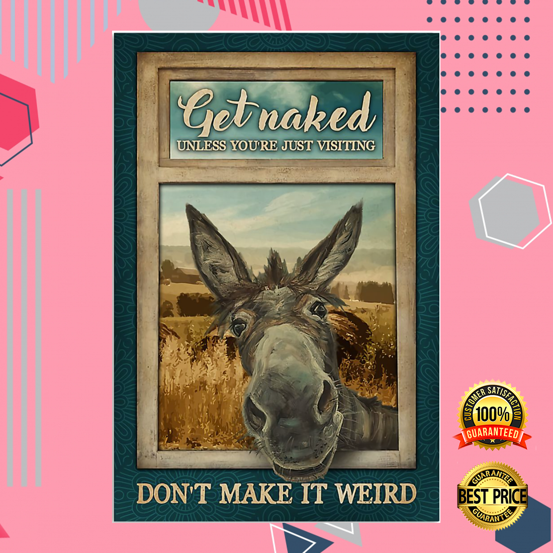 Donkey get naked unless you are just visiting don_t make it weird poster 4