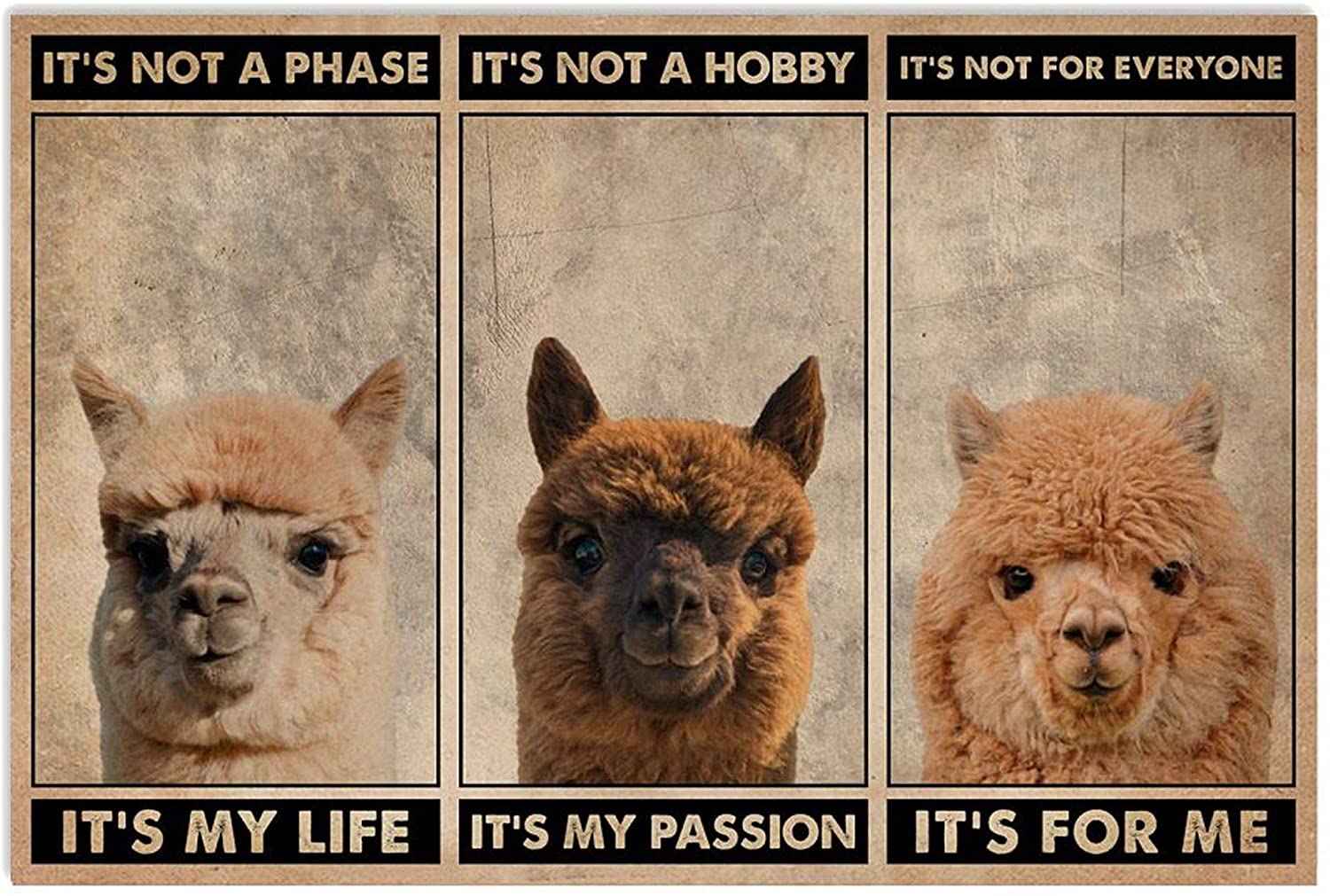 Alpaca It's Not A Phase It's My Life It's Not A Hobby It's My Passion Poster