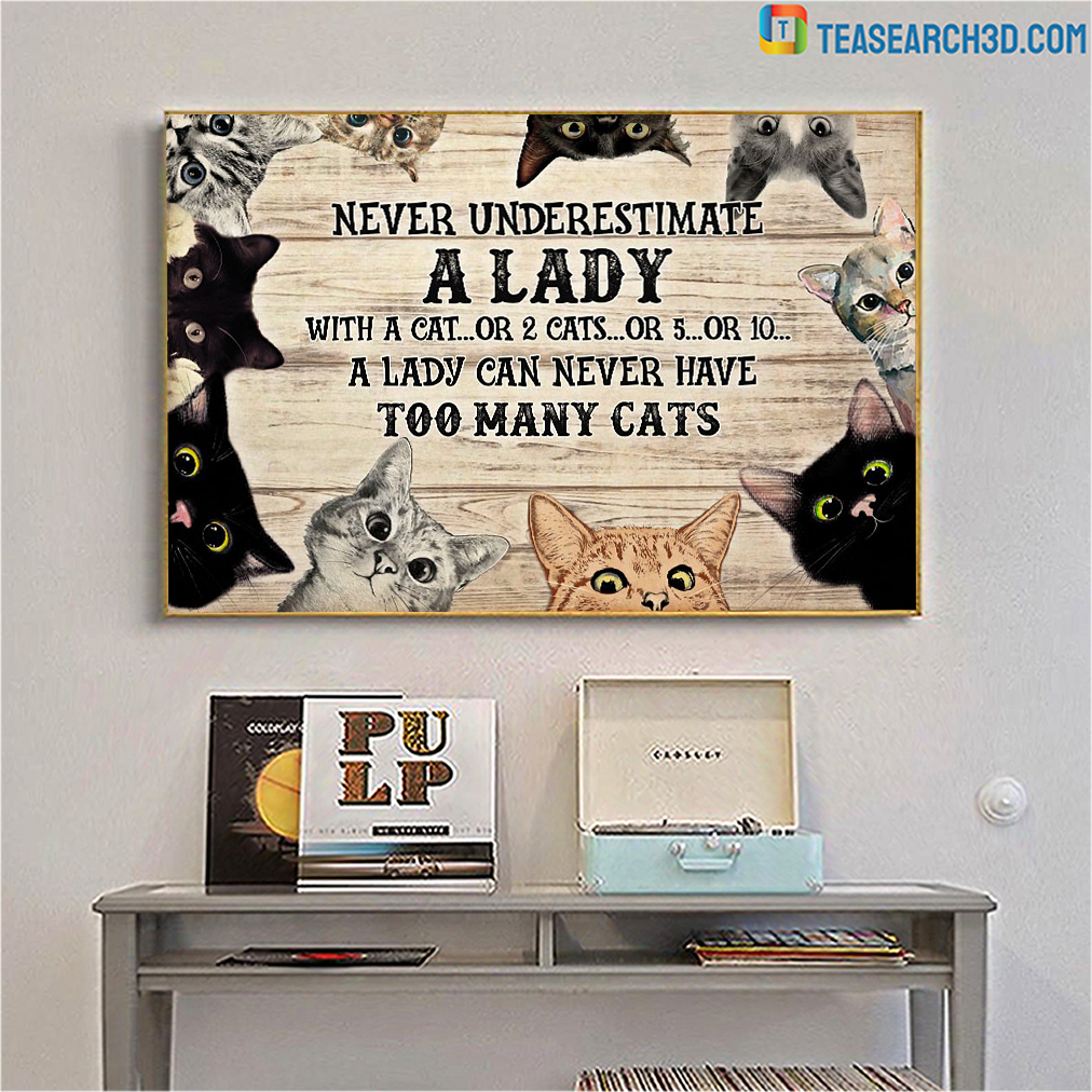 Too many cats never underestimate a lady poster