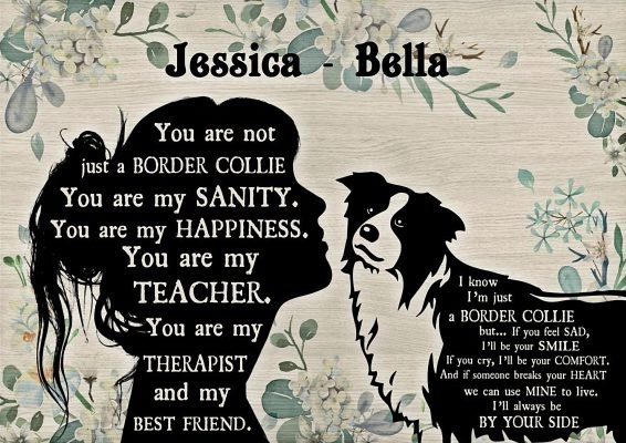 You are not just a Border Collie personalized custom name poster