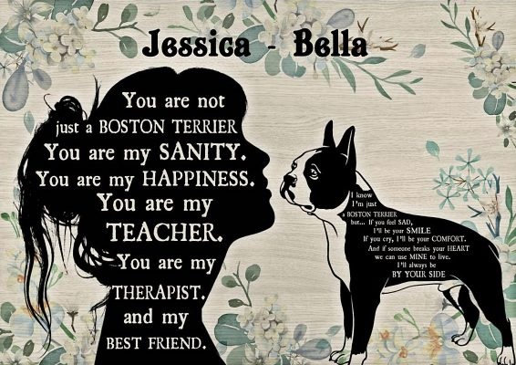 You are not just a boston terrier personalized custom name poster