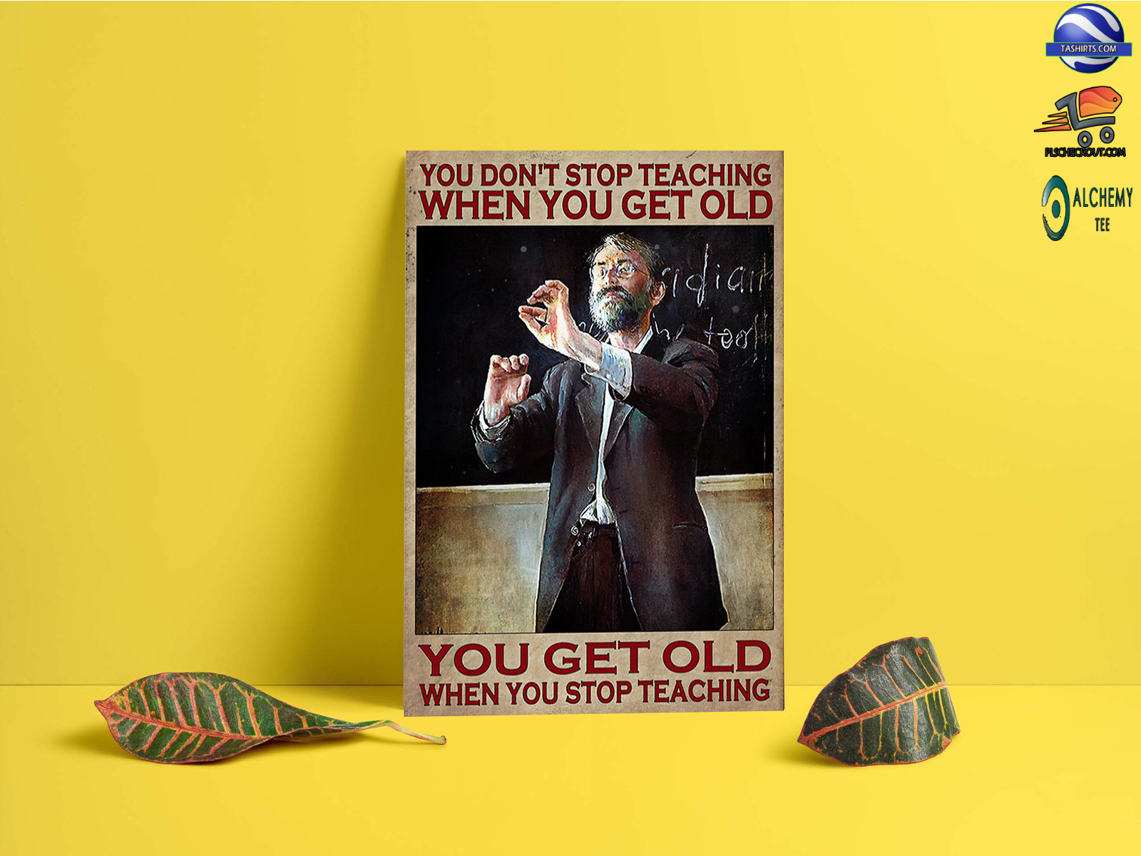 You don’t stop teaching when you get old you get old when you stop teaching poster
