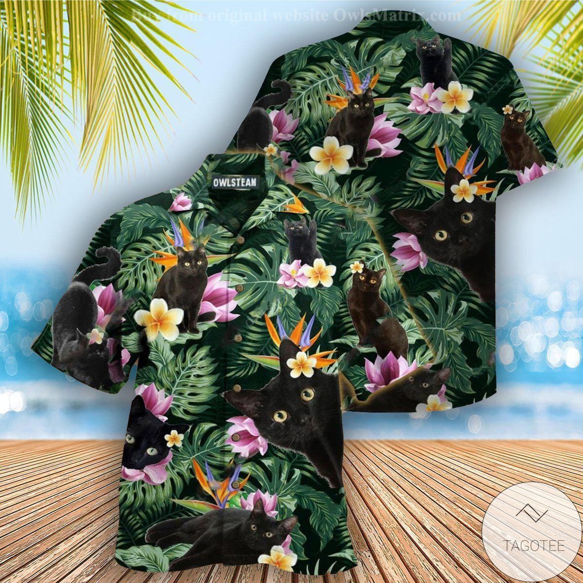 Cats Tropical Leaves Hawaiian Shirt